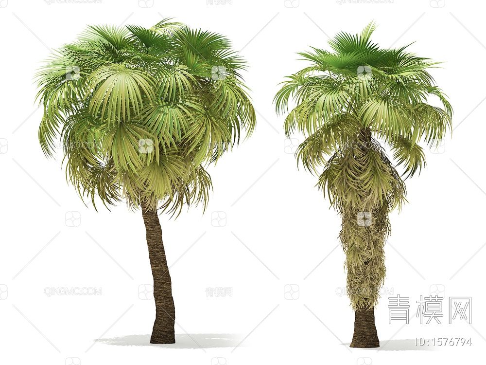 热带树3D模型下载【ID:1576794】