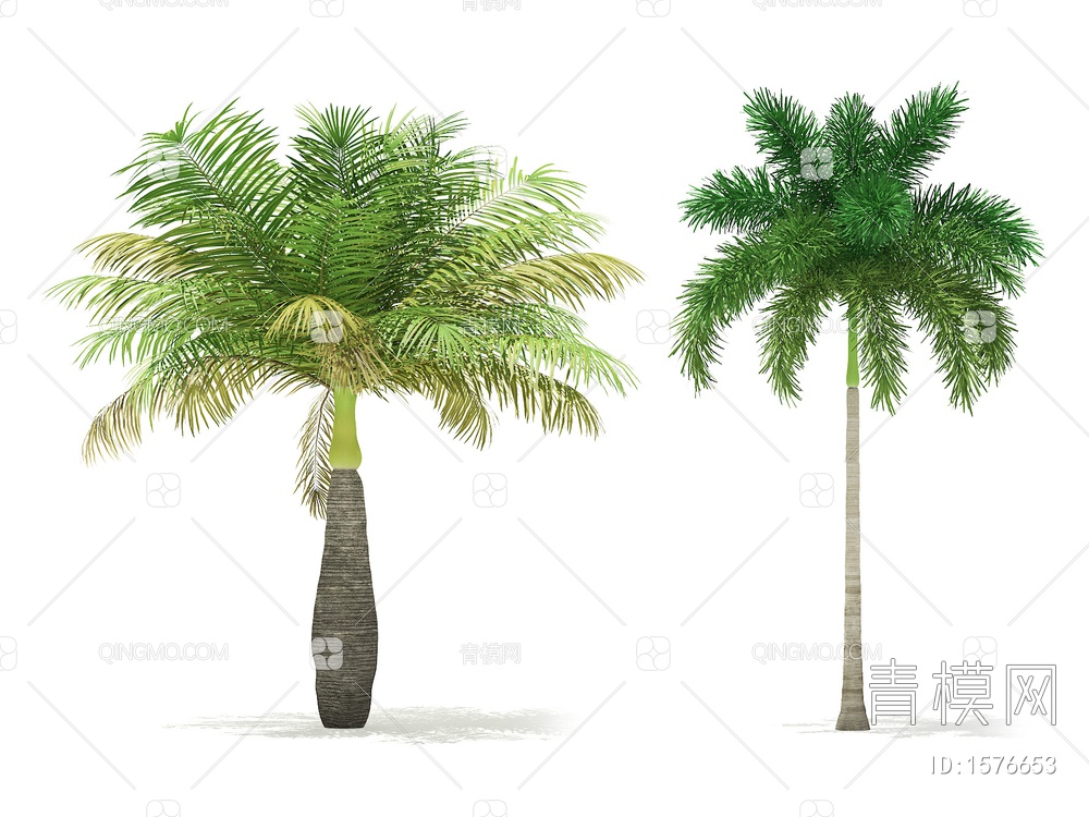 热带树3D模型下载【ID:1576653】