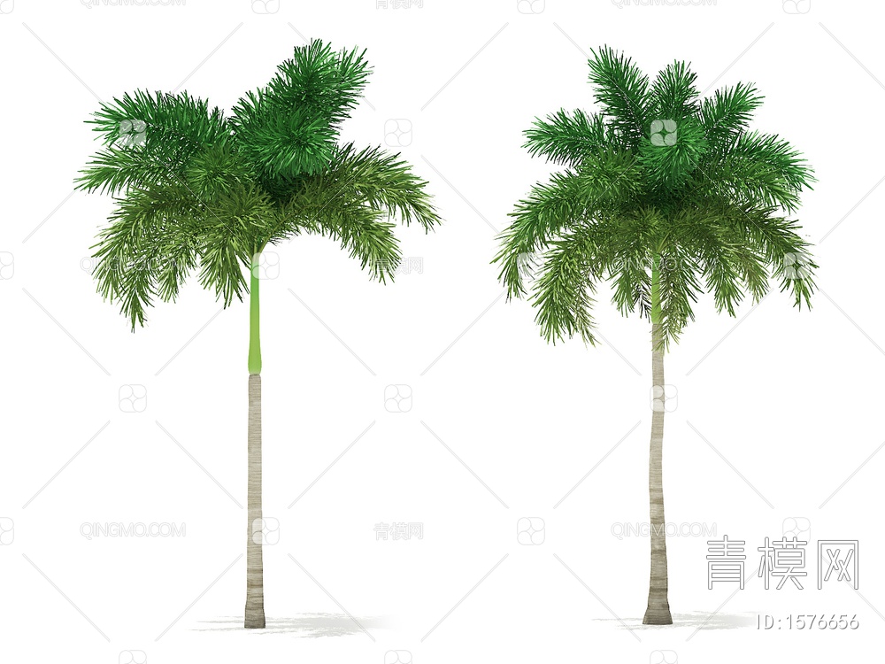 热带树3D模型下载【ID:1576656】