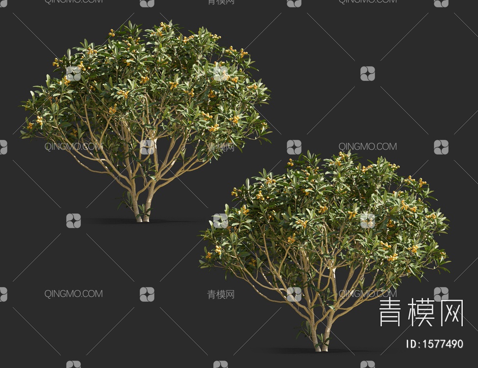 枇杷树3D模型下载【ID:1577490】