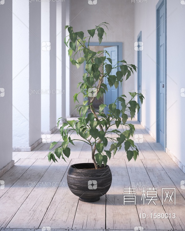 植物盆栽3D模型下载【ID:1580013】