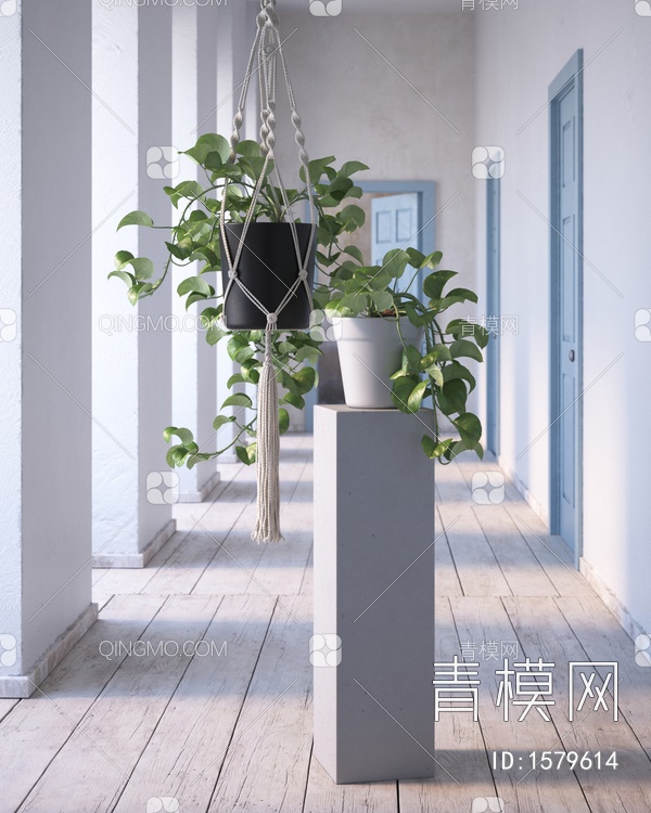 绿萝 吊篮 盆栽 植物3D模型下载【ID:1579614】