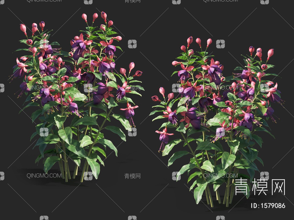 灯笼花 ，海棠，杜鹃花3D模型下载【ID:1579086】