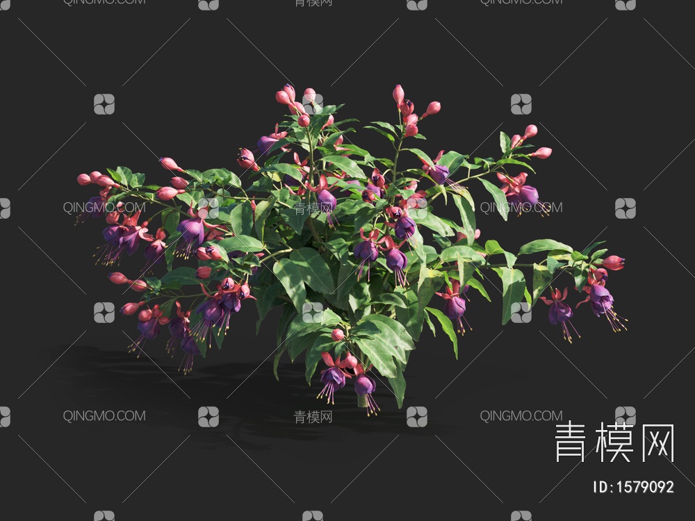 灯笼花 ，海棠，杜鹃花3D模型下载【ID:1579092】
