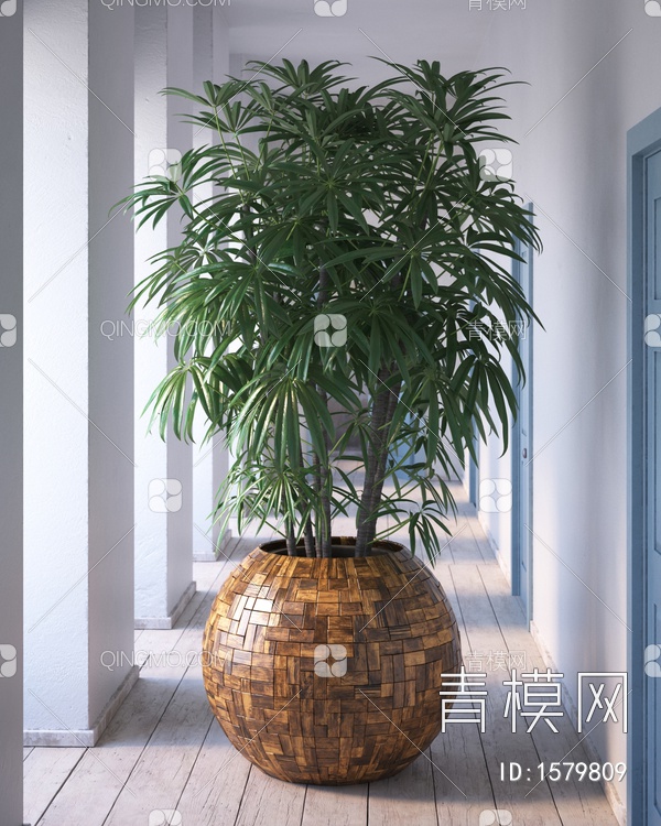 植物盆栽3D模型下载【ID:1579809】