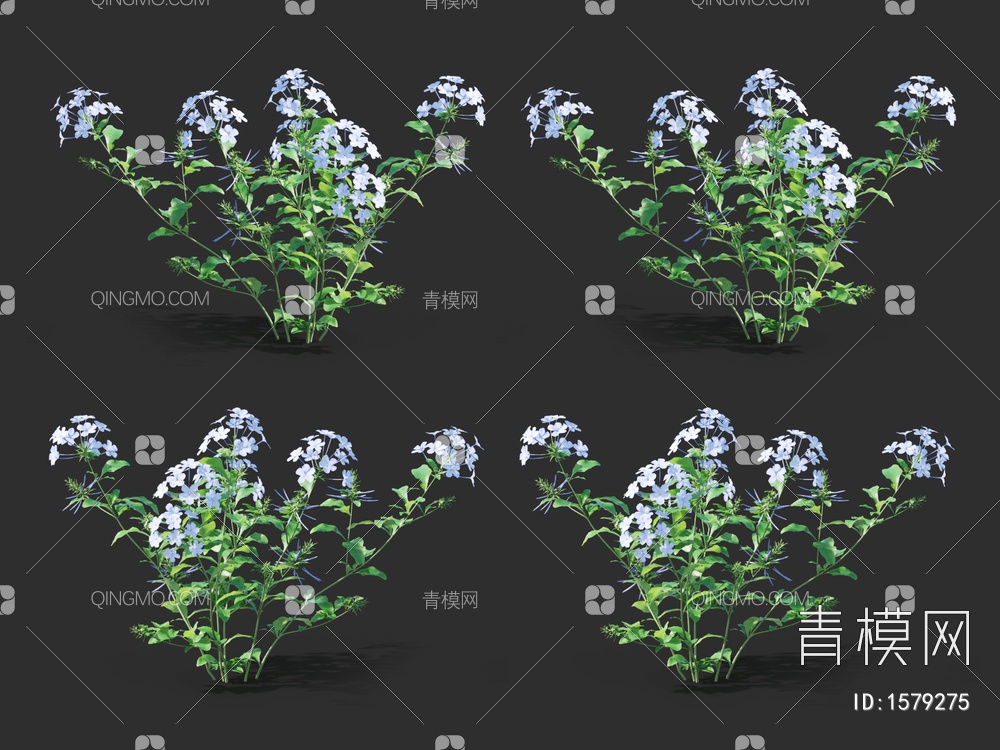 绣球花 ，蓝茉莉，木绣球3D模型下载【ID:1579275】