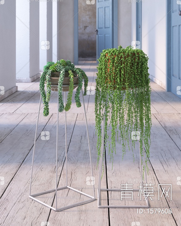 吊篮 盆栽 植物3D模型下载【ID:1579608】