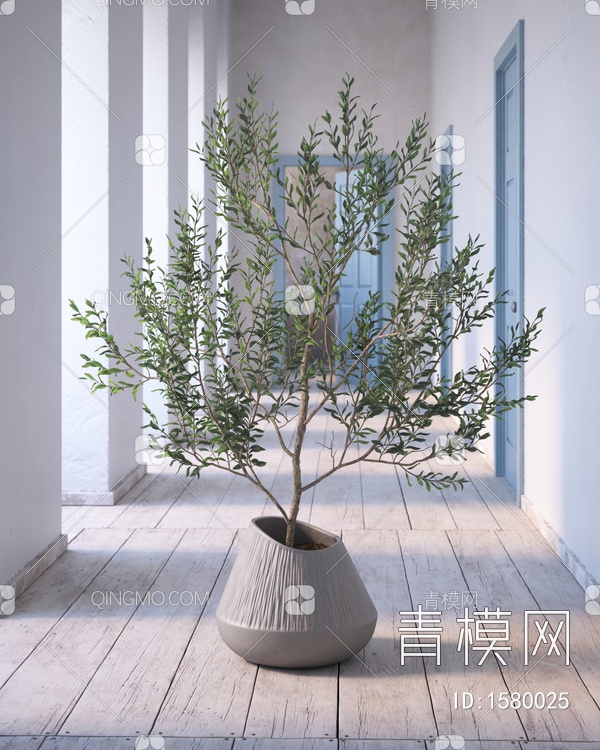 植物盆栽3D模型下载【ID:1580025】