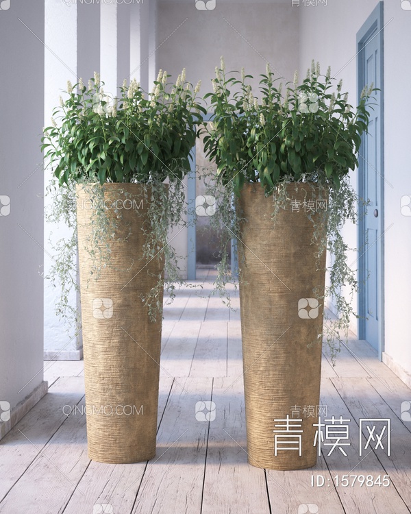 植物盆栽3D模型下载【ID:1579845】