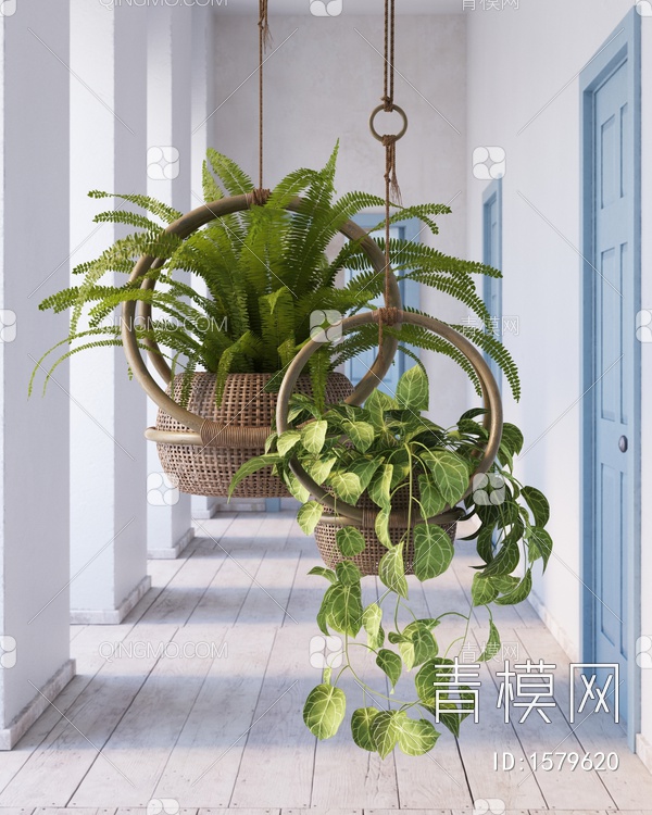吊篮 盆栽 植物3D模型下载【ID:1579620】