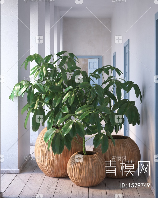 植物盆栽3D模型下载【ID:1579749】