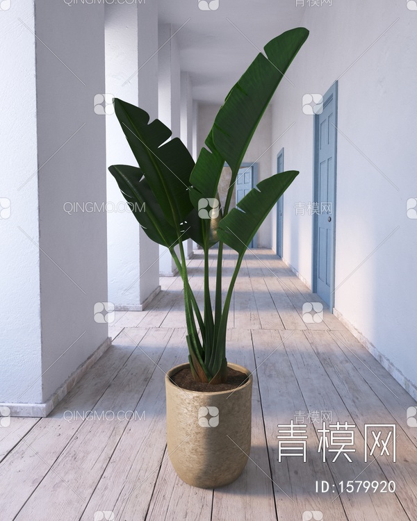 植物盆栽3D模型下载【ID:1579920】