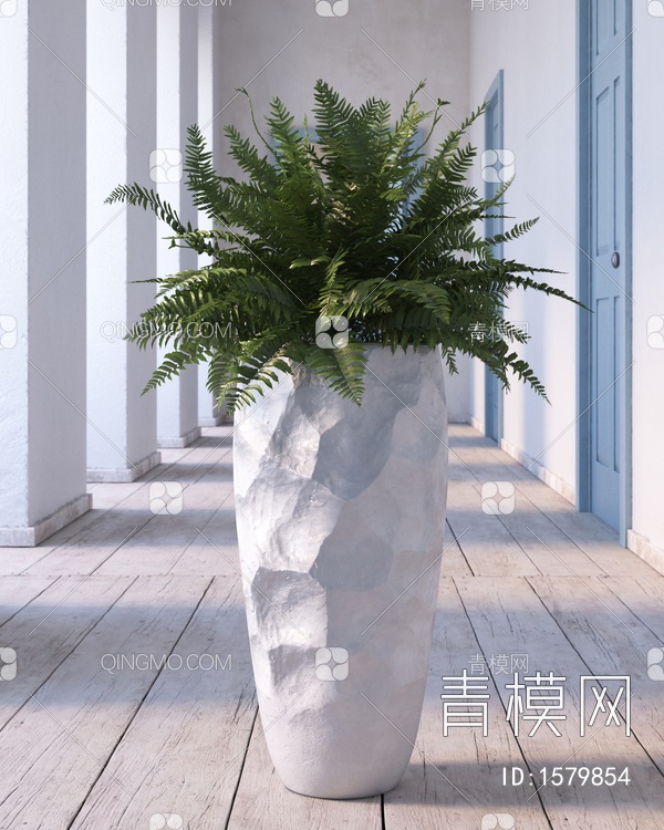 植物盆栽3D模型下载【ID:1579854】