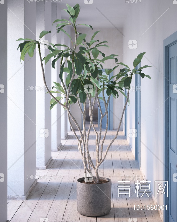 植物盆栽3D模型下载【ID:1580001】