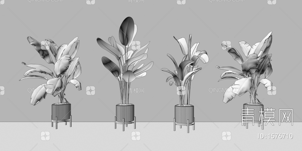 绿植 植物 盆栽 花盆 大叶植物 芭蕉叶绿植3D模型下载【ID:1576710】