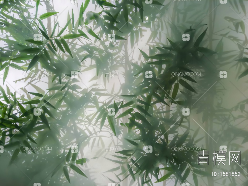 植物竹子艺术磨砂玻璃贴图贴图下载【ID:1581852】