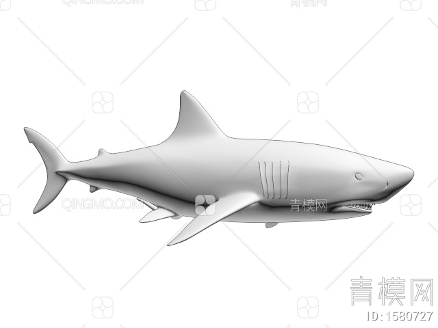 海洋生物 鲨鱼3D模型下载【ID:1580727】