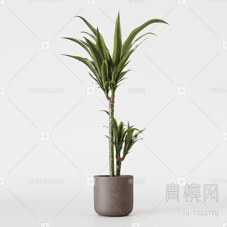 植物盆栽3D模型下载【ID:1586178】