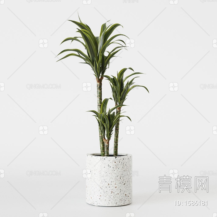 植物盆栽3D模型下载【ID:1586181】