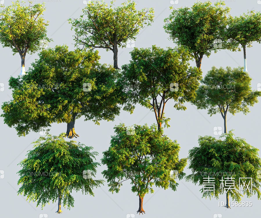 景观树3D模型下载【ID:1586835】
