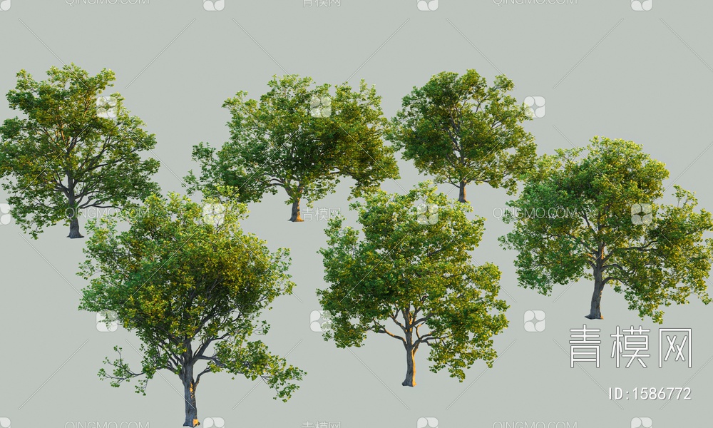 景观树3D模型下载【ID:1586772】