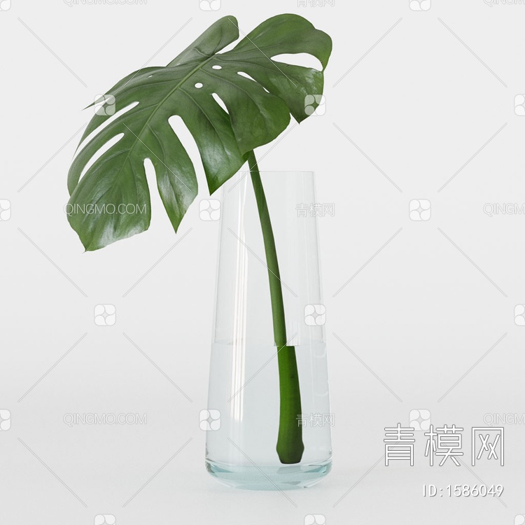 花瓶植物3D模型下载【ID:1586049】