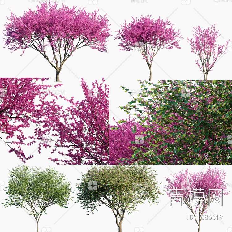 景观树3D模型下载【ID:1586619】