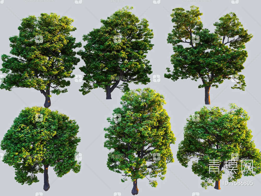 景观树3D模型下载【ID:1586805】