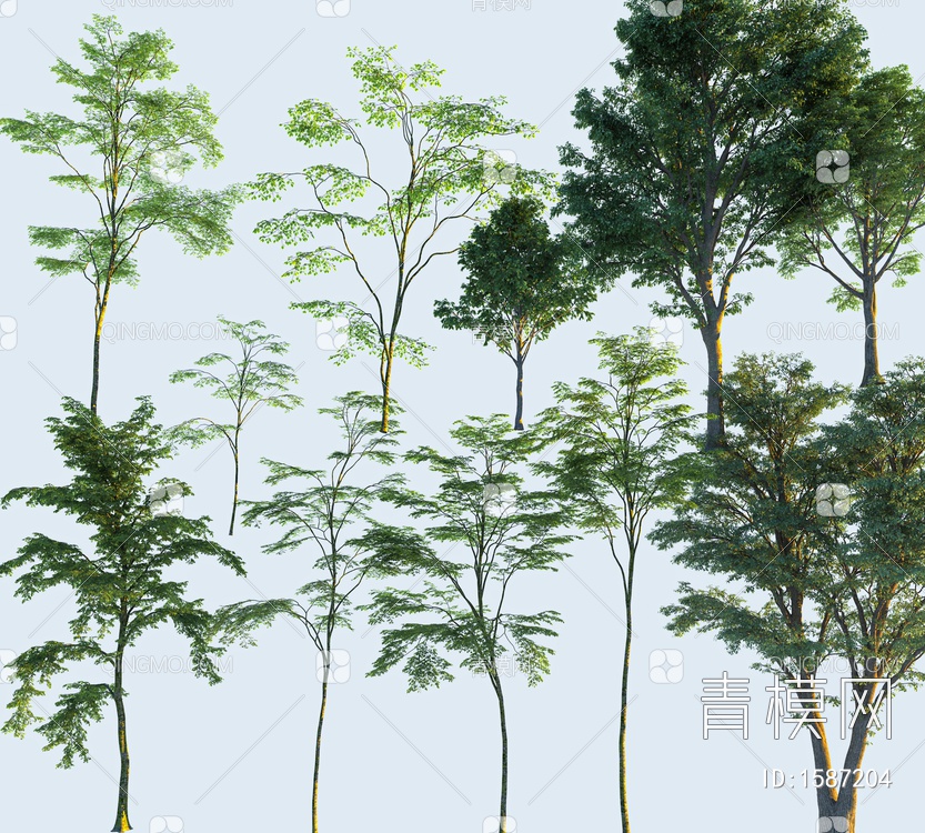 景观树3D模型下载【ID:1587204】