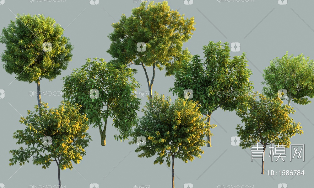 景观树3D模型下载【ID:1586784】