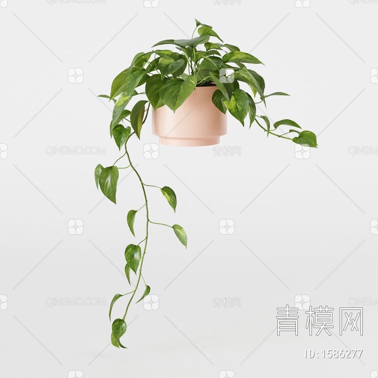 绿萝盆栽3D模型下载【ID:1586277】