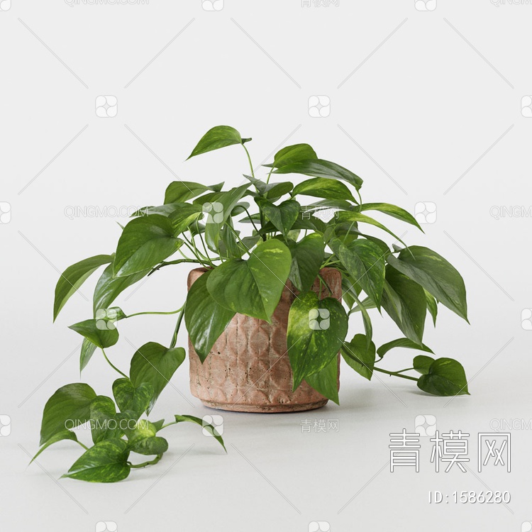 绿萝盆栽3D模型下载【ID:1586280】