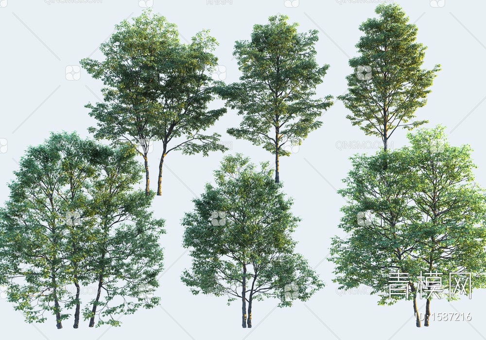 景观树3D模型下载【ID:1587216】