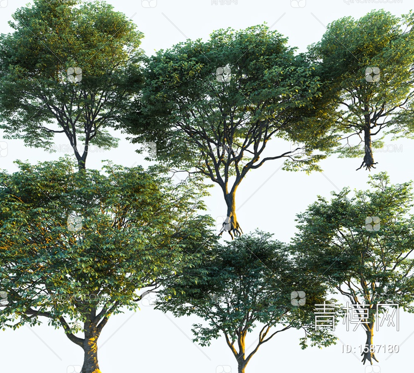 景观树3D模型下载【ID:1587180】