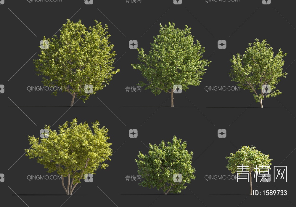 景观树3D模型下载【ID:1589733】