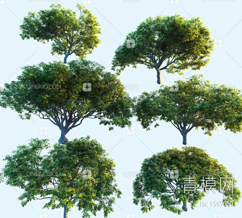 景观树3D模型下载【ID:1589550】