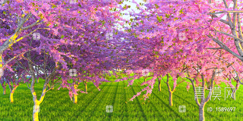 景观樱花树3D模型下载【ID:1589697】