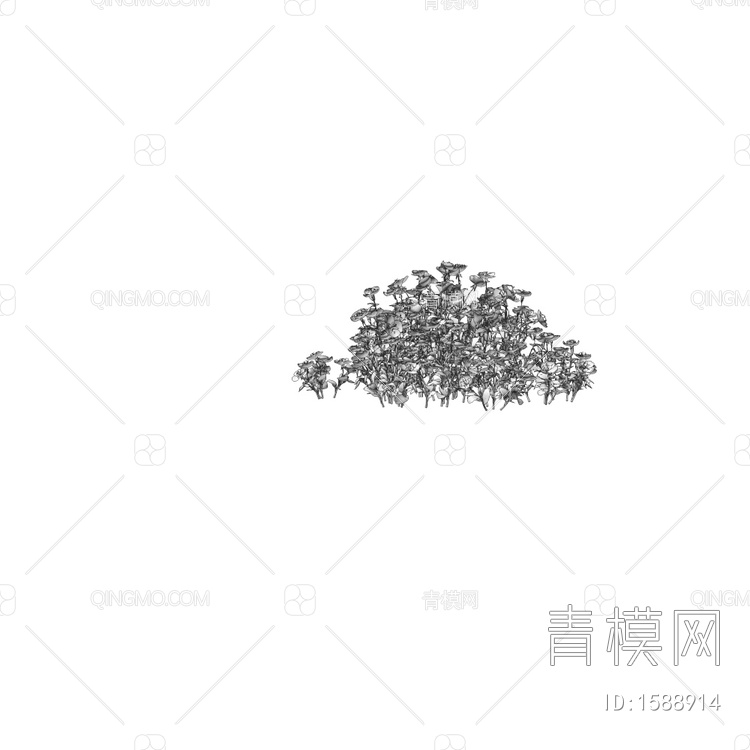 Oenothera 室外花草3D模型下载【ID:1588914】