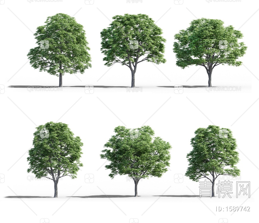 景观树3D模型下载【ID:1589742】