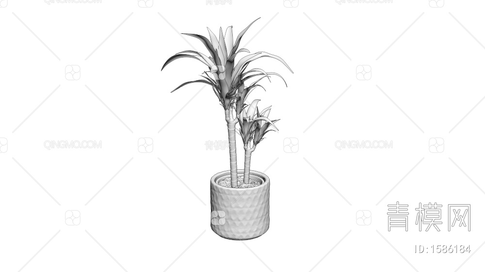 植物盆栽3D模型下载【ID:1586184】