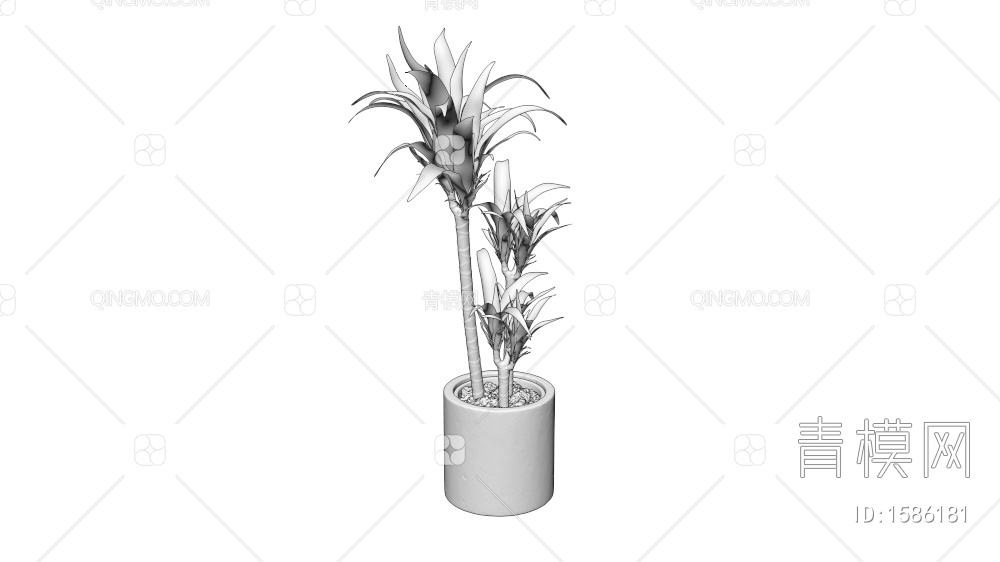 植物盆栽3D模型下载【ID:1586181】