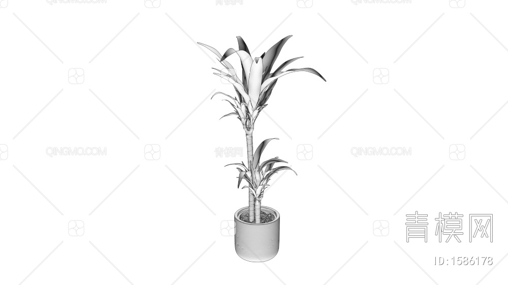 植物盆栽3D模型下载【ID:1586178】