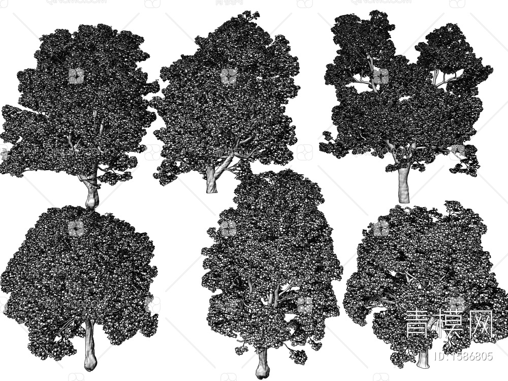 景观树3D模型下载【ID:1586805】