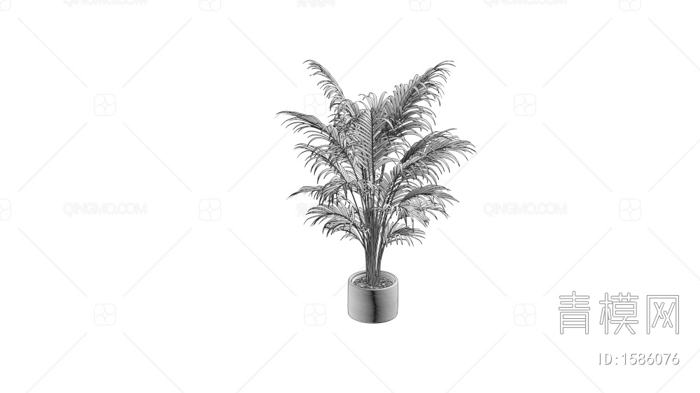 【散尾葵 植物盆栽3D模型】-现代VR无灯光有贴图MAX2016散尾葵 植物盆栽3d模型下载-ID1586076-免费3Dmax模型库 - 青 ...
