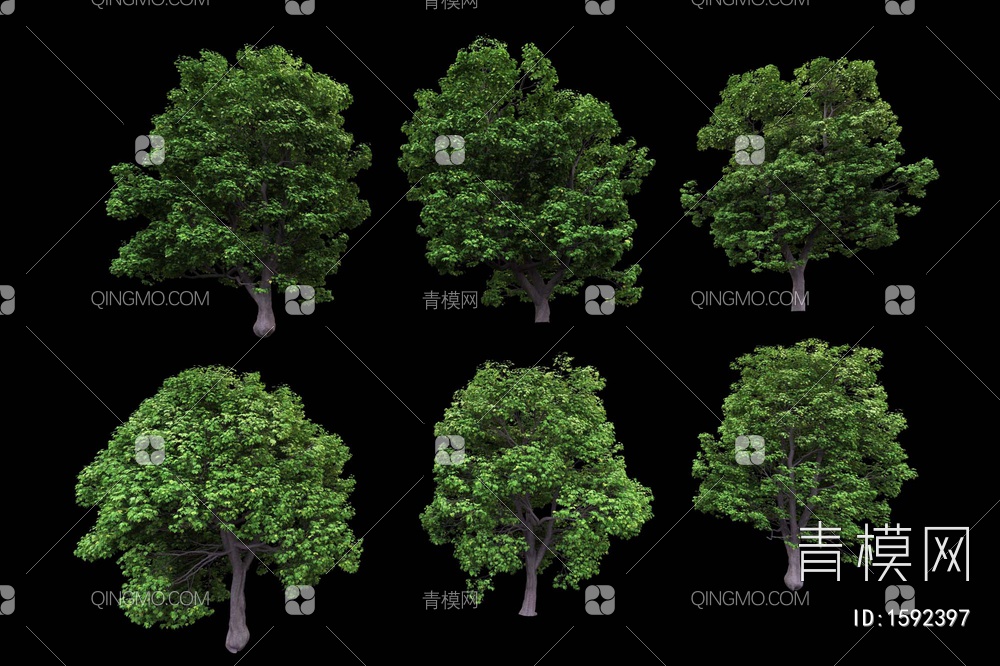 景观树3D模型下载【ID:1592397】