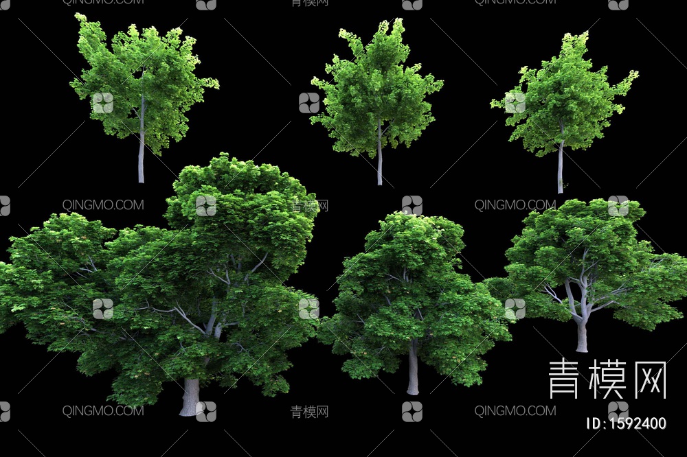 景观树3D模型下载【ID:1592400】