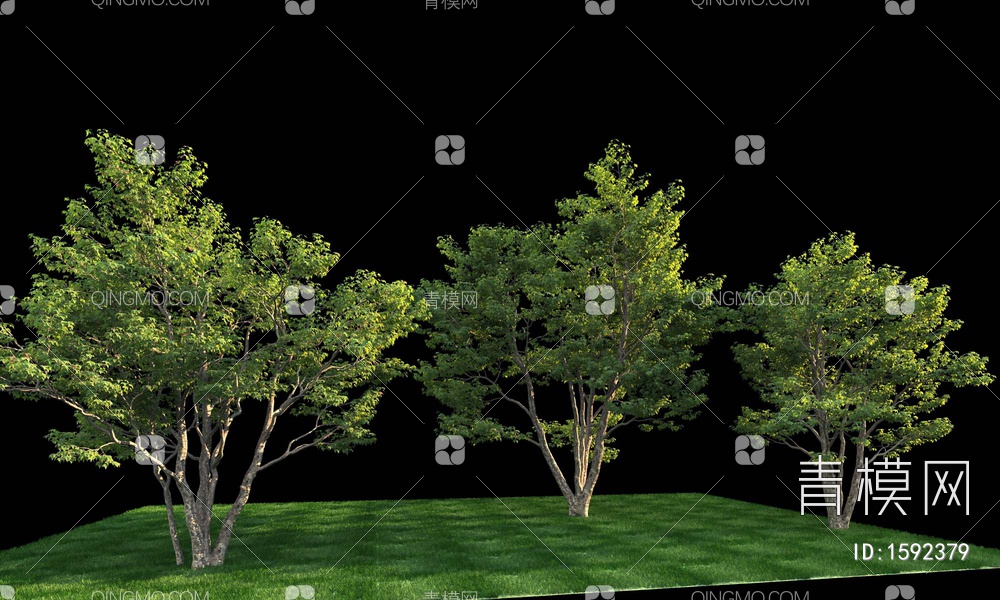 景观树3D模型下载【ID:1592379】