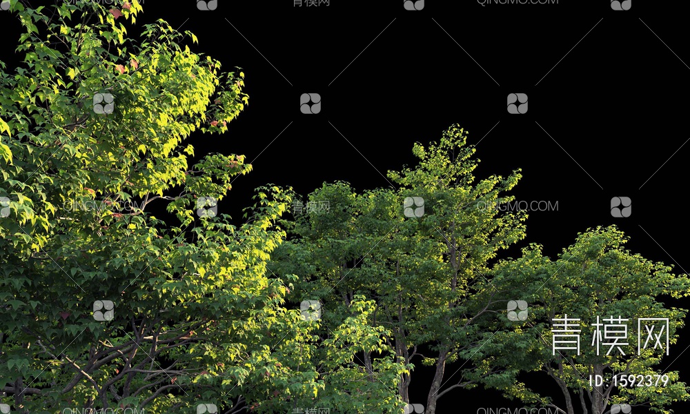 景观树3D模型下载【ID:1592379】