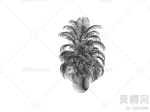 植物盆栽 盆栽树3D模型下载【ID:1591245】