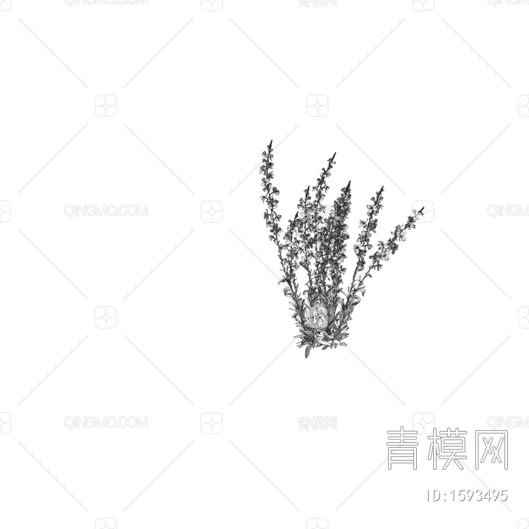 Oenothera 室外花草3D模型下载【ID:1593495】